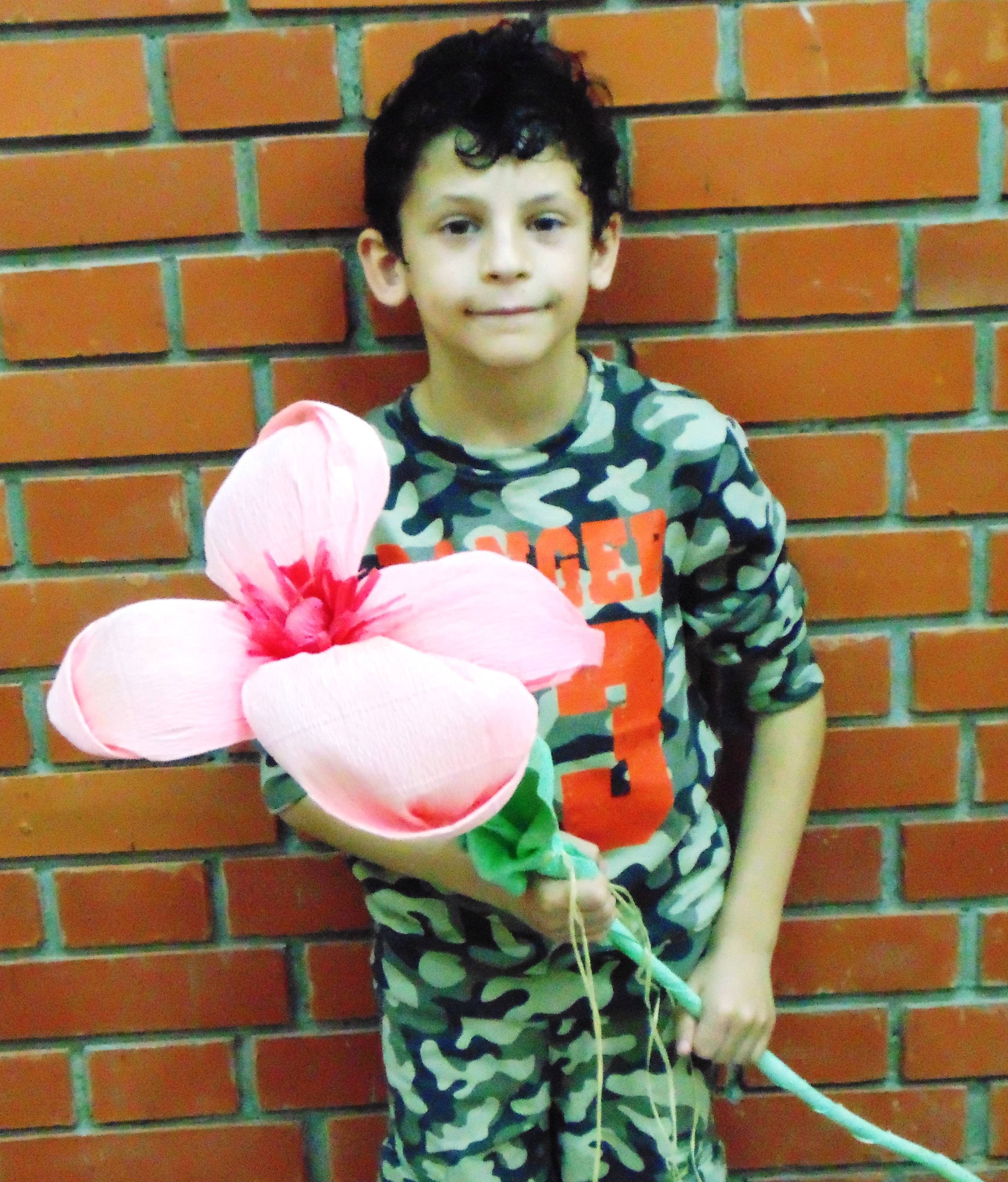 David je pripremio cvijet za idui susret sa Sanjom Pili.